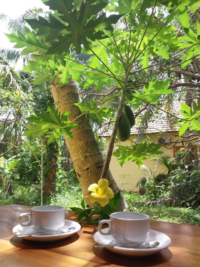 Phu Quoc Pomelo Garden Lägenhet Exteriör bild
