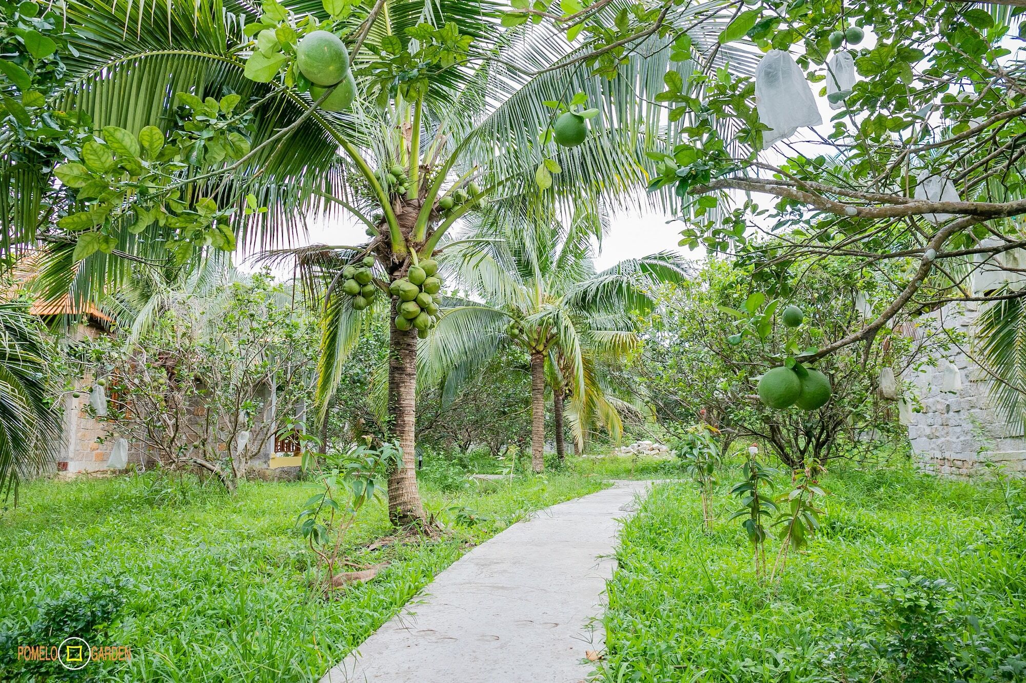 Phu Quoc Pomelo Garden Lägenhet Exteriör bild