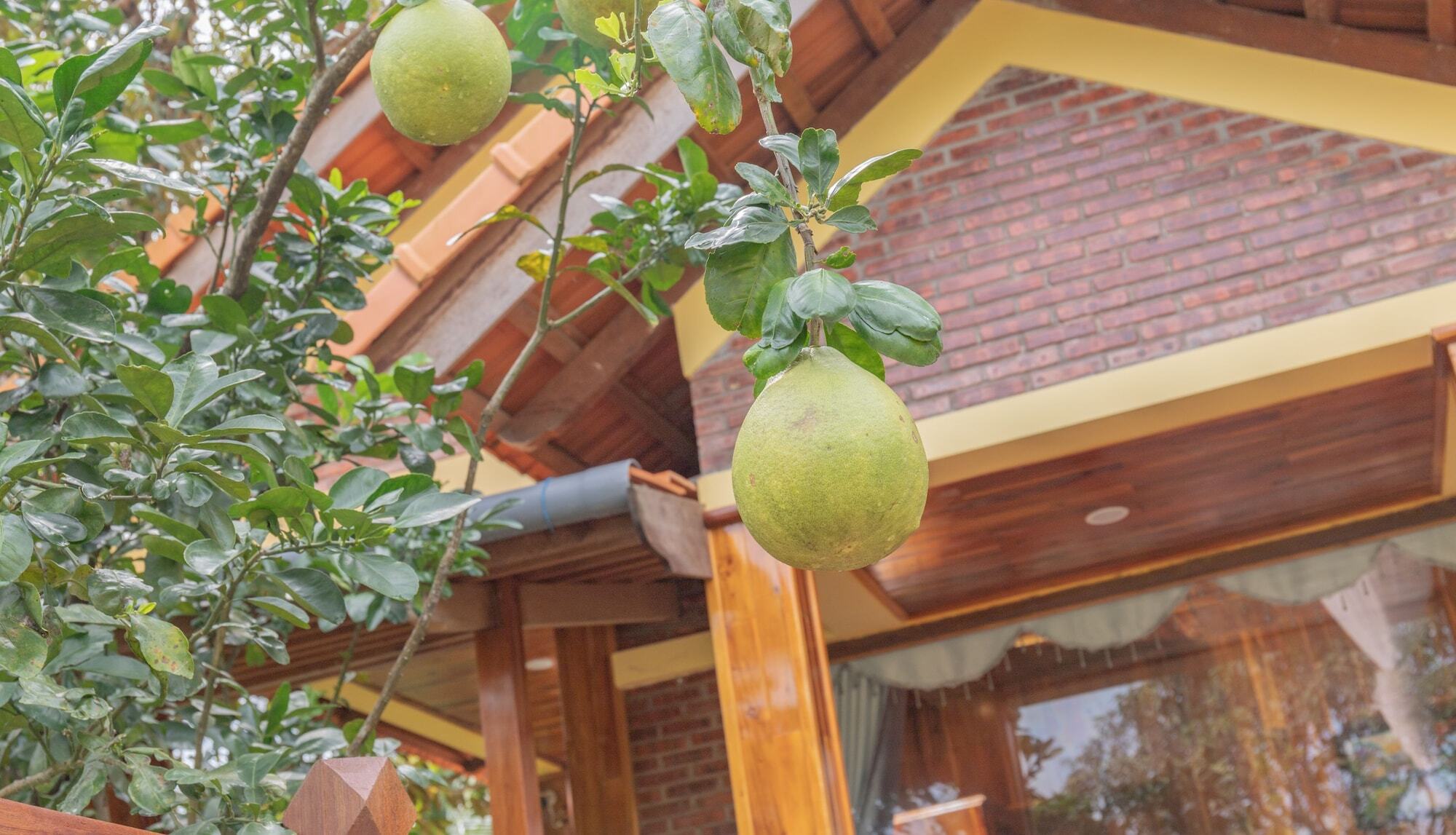Phu Quoc Pomelo Garden Lägenhet Exteriör bild